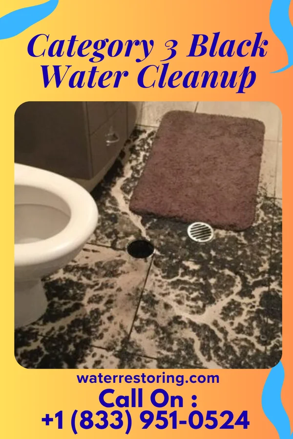 Category 3 Black Water Cleanup in Monticello, GA
