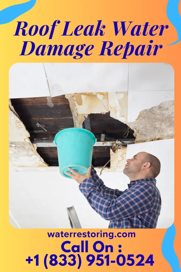 Roof Leak Water Damage Repair in Monticello, GA